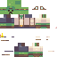 Texture for creeper walter