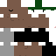 Texture for apex.v3