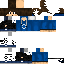 Texture for Netto_