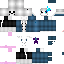Texture for SANSS