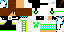 Texture for EnderBrQ