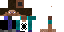 Texture for steve svamp