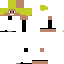 Texture for StevecrafterLP