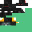 Texture for dddd