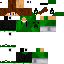 Texture for inagamer