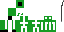 Texture for creeper squellette