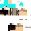 Texture for poora2