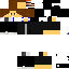 Texture for zaelot