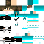 Texture for dinesla