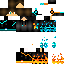 Texture for leo