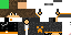 Texture for Mr.Crash