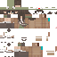 Texture for Roz