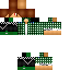 Texture for steve