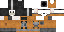 Texture for Astronaut Spotter