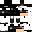 Texture for SWAT