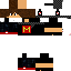 Texture for Скин