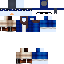 Texture for PatoSwagger