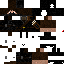 Texture for New fasNOOb
