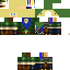Texture for T.crafteur en link