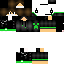 Texture for A_creeper Skin