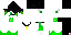 Texture for Hawk