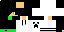 Texture for dmx
