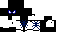 Texture for Spider-Black