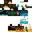 Texture for steve