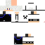 Texture for sagnosys