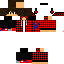 Texture for Steve