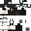 Texture for Ensign SGS