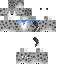 Texture for Snow Leopard