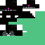 Texture for ws