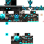 Texture for king