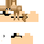 Texture for wad