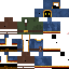 Texture for wandering trader