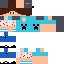 Texture for Snisel