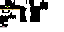 Texture for Tuxedo Cat