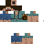 Texture for Steve