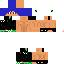 Texture for SARAN11