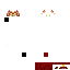 Texture for pp