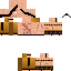 Texture for sagat