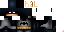 Texture for custombat