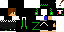 Texture for L1mon