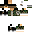 Texture for MasterMark1