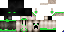 Texture for zimu2