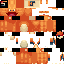Texture for Dracaufeu