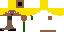 Texture for Seth