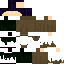 Texture for ViVan