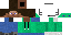 Texture for steve flaite
